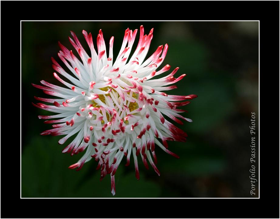 Image hébergée par Casimages.com : votre hébergeur d images simple et gratuit