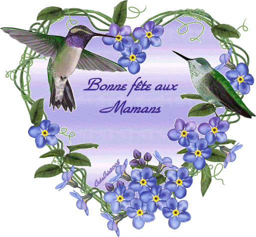 Image hébergée par Casimages.com : votre hébergeur d images simple et gratuit