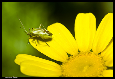 Image hébergée par Casimages.com : votre hébergeur d images simple et gratuit