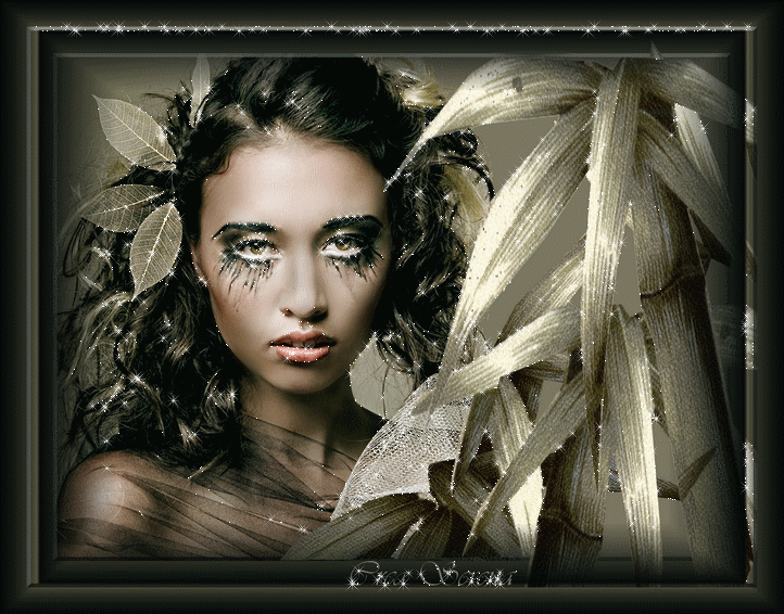 Image h�berg�e par Casimages.com : votre h�bergeur d images simple et gratuit