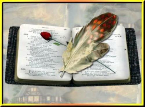 Image h�berg�e par Casimages.com : votre h�bergeur d images simple et gratuit