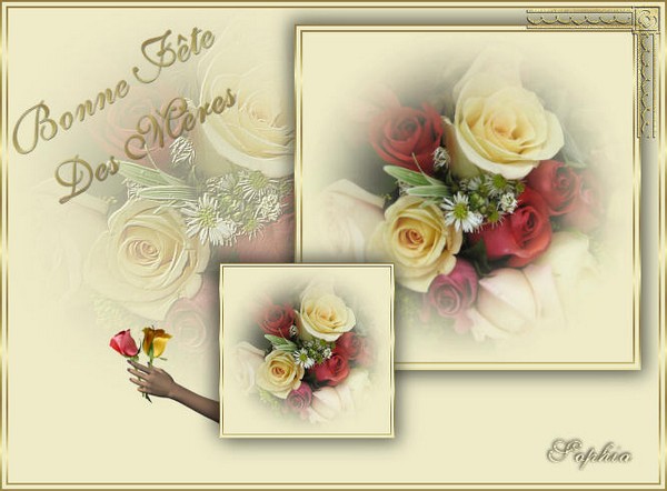 Image h�berg�e par Casimages.com : votre h�bergeur d images simple et gratuit