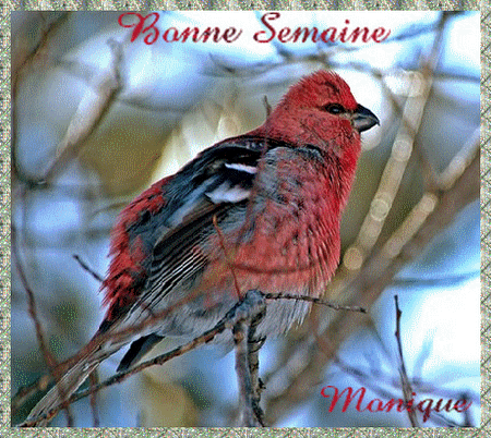 Image h�berg�e par Casimages.com : votre h�bergeur d images simple et gratuit