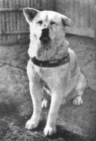 hebergeur image