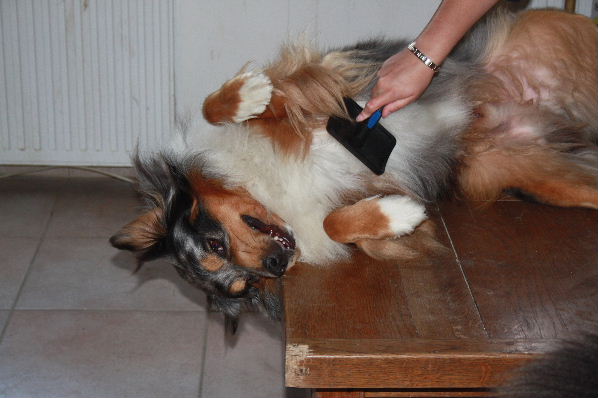 Image h�berg�e par Casimages.com : votre h�bergeur d images simple et gratuit