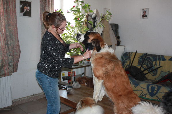 Image h�berg�e par Casimages.com : votre h�bergeur d images simple et gratuit