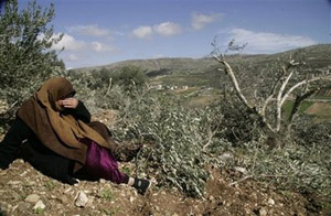 Palestine Occupee - lamentation d'une femme devant ses oliviers tous arrachés