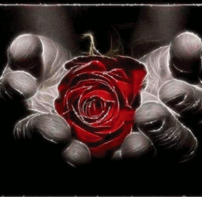 Image h�berg�e par Casimages.com : votre h�bergeur d images simple et gratuit