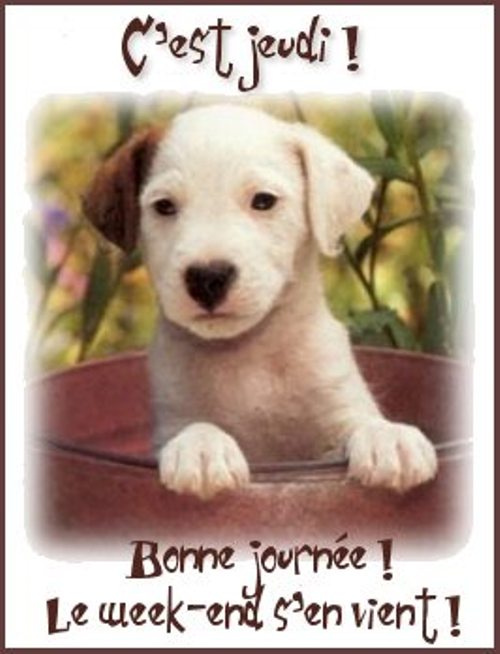 Image h�berg�e par Casimages.com : votre h�bergeur d images simple et gratuit