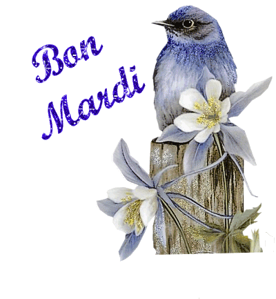 Image h�berg�e par Casimages.com : votre h�bergeur d images simple et gratuit