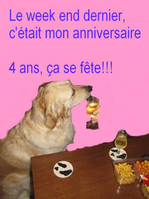 voir l'image en taille r�elle