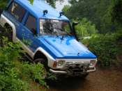 MLVO060610