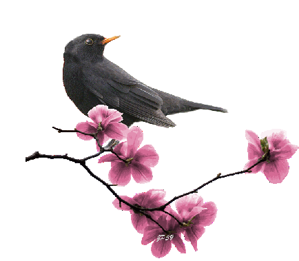 Image h�berg�e par Casimages.com : votre h�bergeur d images simple et gratuit