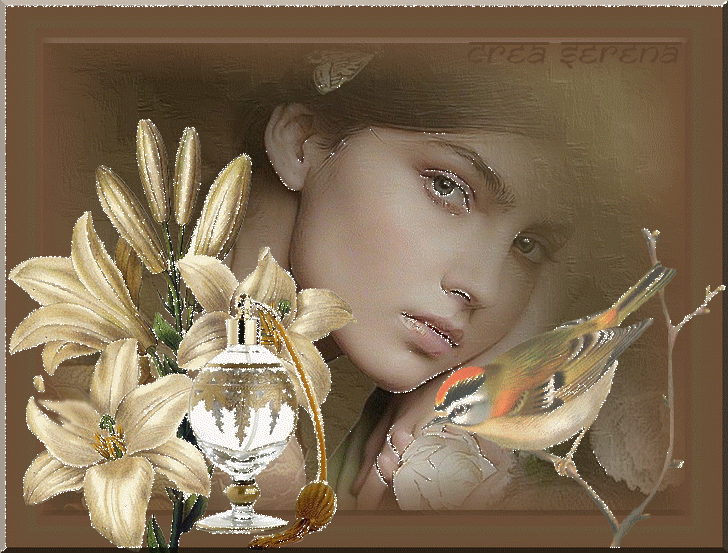 Image h�berg�e par Casimages.com : votre h�bergeur d images simple et gratuit