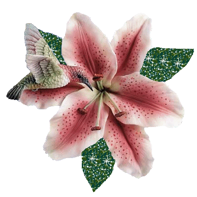 Image hébergée par Casimages.com : votre hébergeur d images simple et gratuit