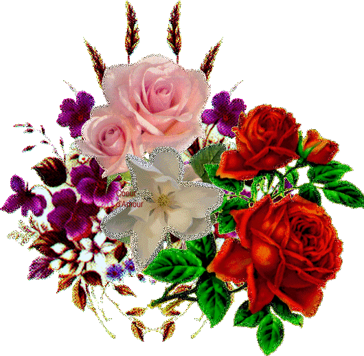 Image hébergée par Casimages.com : votre hébergeur d images simple et gratuit