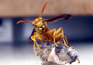 Image hébergée par Casimages.com : votre hébergeur d images simple et gratuit
