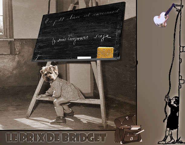 Image h�berg�e par Casimages.com : votre h�bergeur d images simple et gratuit