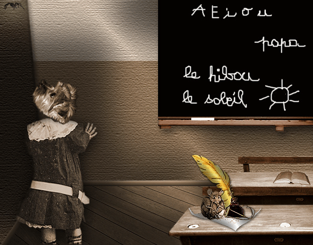Image h�berg�e par Casimages.com : votre h�bergeur d images simple et gratuit
