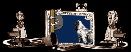 Image h�berg�e par Casimages.com : votre h�bergeur d images simple et 
gratuit