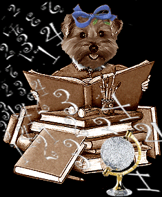 Image hébergée par Casimages.com : votre hébergeur d images simple et gratuit