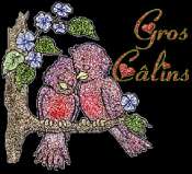 Gif Calin