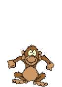 Gif Singes