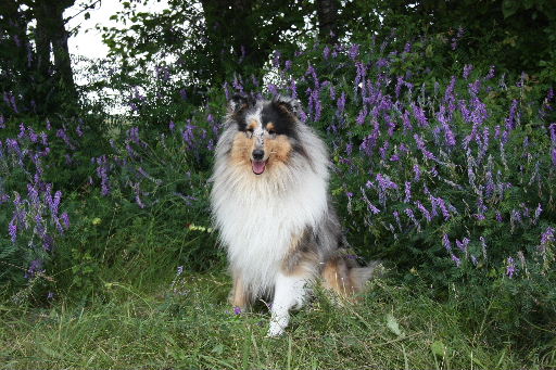 Image h�berg�e par Casimages.com : votre h�bergeur d images simple et gratuit