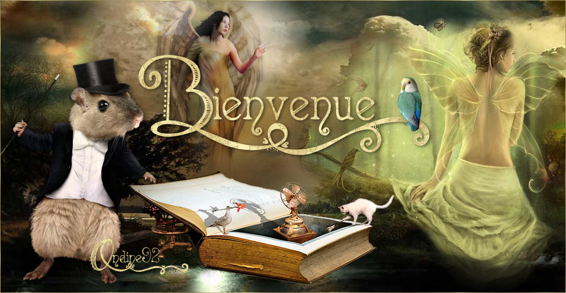 Image h�berg�e par Casimages.com : votre h�bergeur d images simple et gratuit