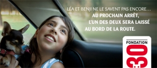 voir l'image en taille r�elle