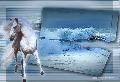 Hebergement gratuit d'image et photo