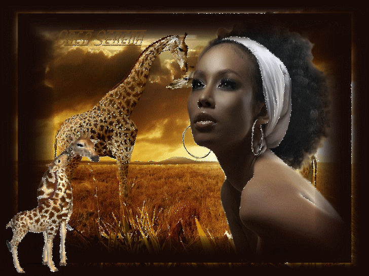 Image h�berg�e par Casimages.com : votre h�bergeur d images simple et gratuit