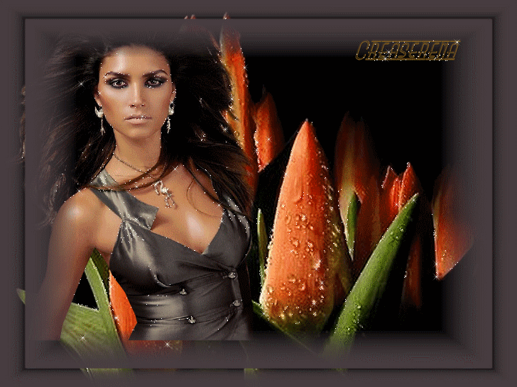 Image h�berg�e par Casimages.com : votre h�bergeur d images simple et gratuit