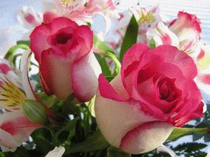 Image h�berg�e par Casimages.com : votre h�bergeur d images simple et gratuit