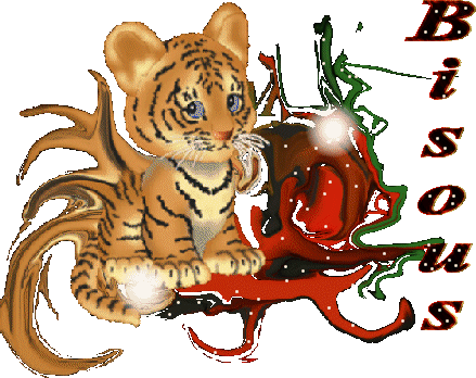 Image h�berg�e par Casimages.com : votre h�bergeur d images simple et gratuit