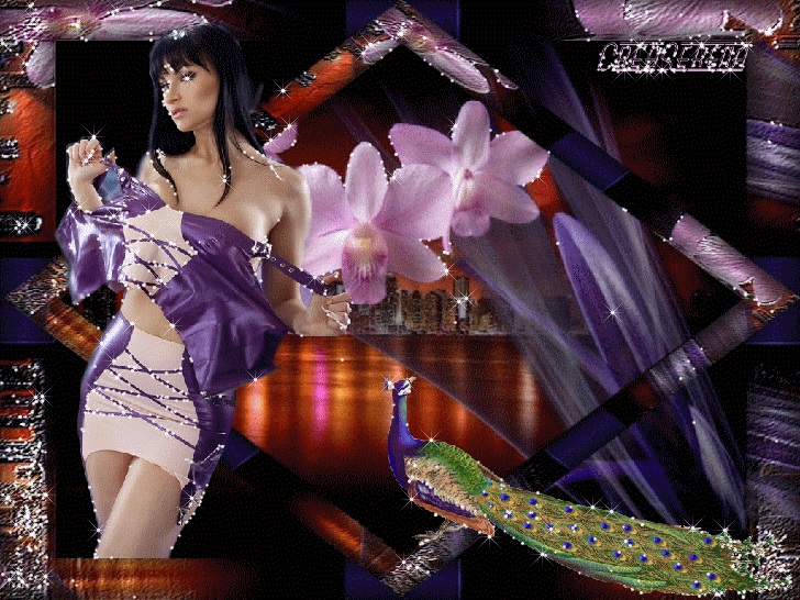 Image h�berg�e par Casimages.com : votre h�bergeur d images simple et gratuit