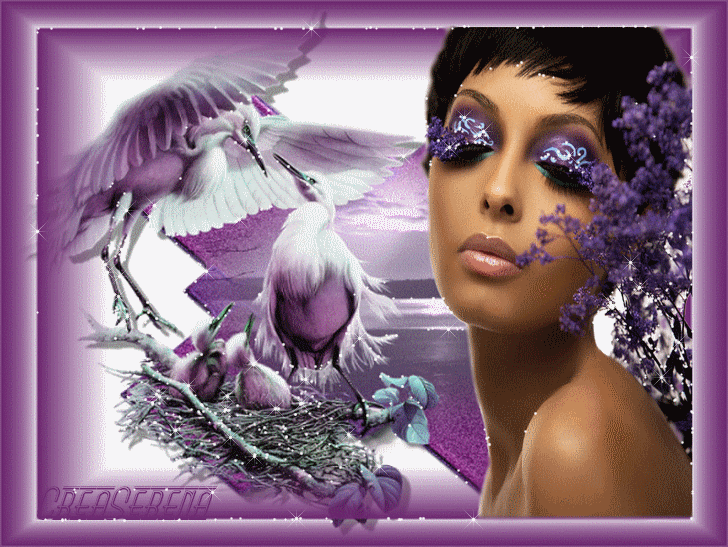 Image h�berg�e par Casimages.com : votre h�bergeur d images simple et gratuit