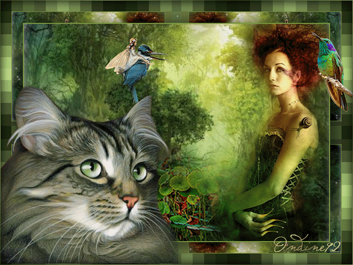 Image hébergée par Casimages.com : votre hébergeur d images simple et gratuit