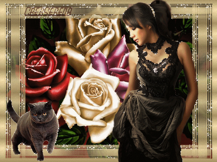 Image h�berg�e par Casimages.com : votre h�bergeur d images simple et gratuit