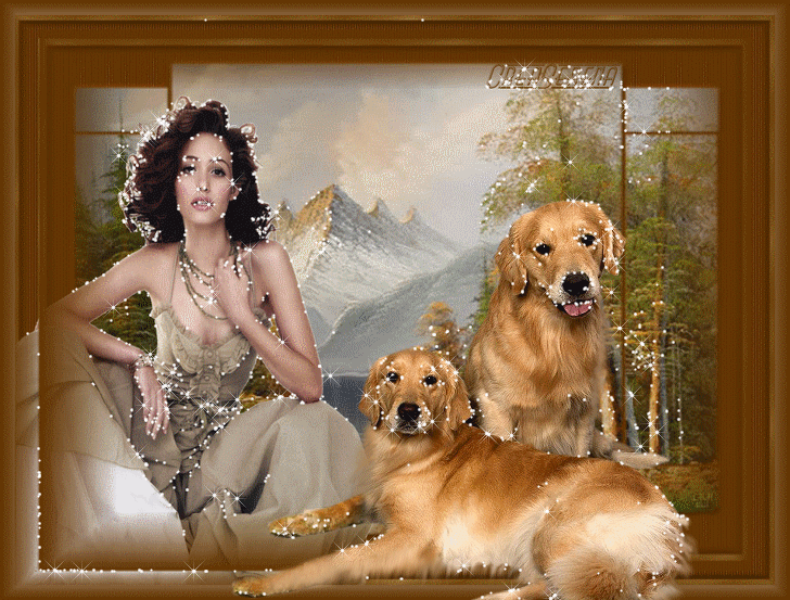 Image h�berg�e par Casimages.com : votre h�bergeur d images simple et gratuit
