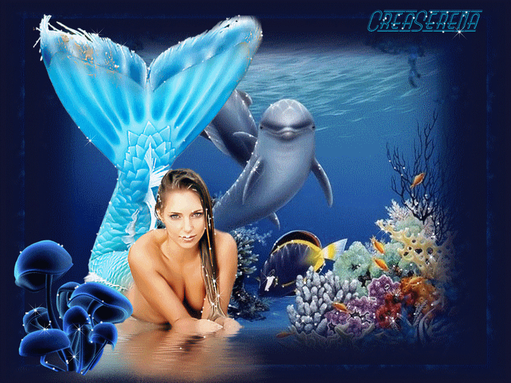 Image h�berg�e par Casimages.com : votre h�bergeur d images simple et gratuit