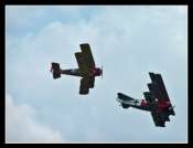 P1110241_fokker