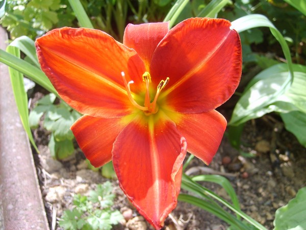 Image hébergée par Casimages.com : votre hébergeur d images simple et gratuit