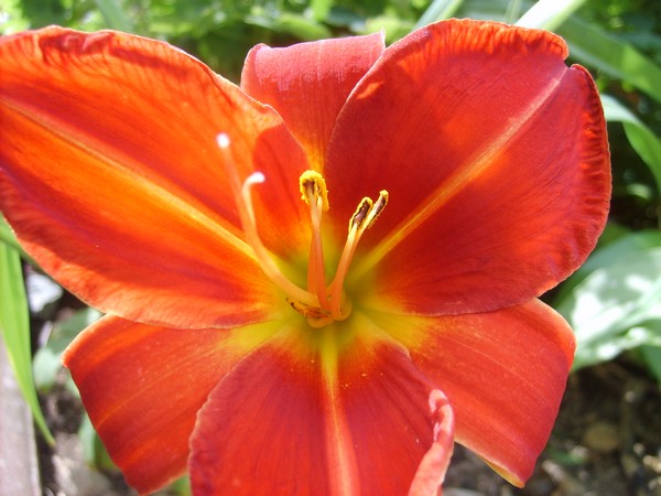 Image hébergée par Casimages.com : votre hébergeur d images simple et gratuit