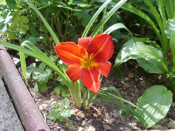 Image hébergée par Casimages.com : votre hébergeur d images simple et gratuit
