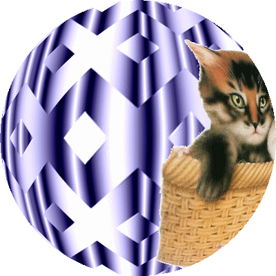 Image h�berg�e par Casimages.com : votre h�bergeur d images simple et gratuit