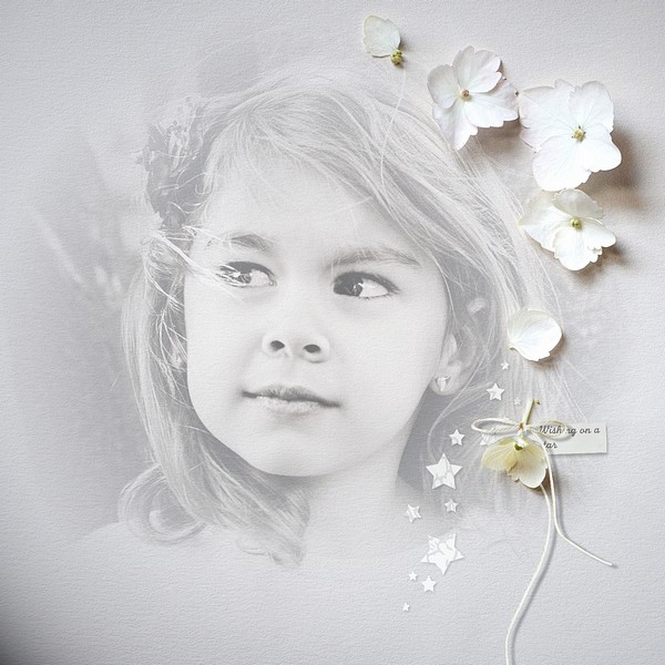 Image hébergée par Casimages.com