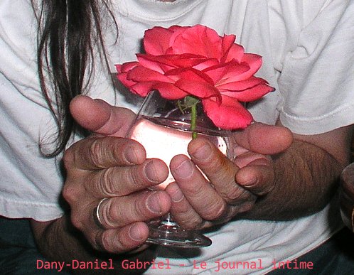 rose et coupe de cognac
