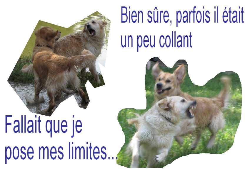 voir l'image en taille r�elle