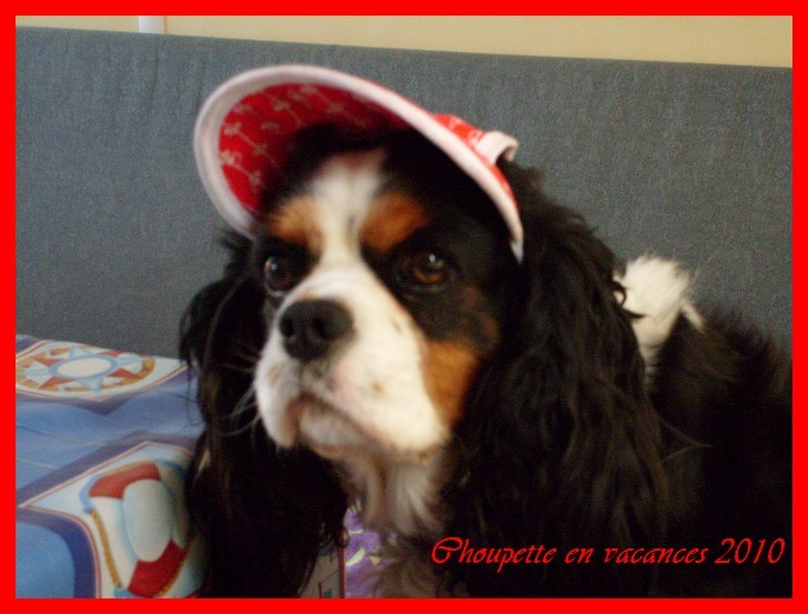 Image h�berg�e par Casimages.com : votre h�bergeur d images simple et gratuit